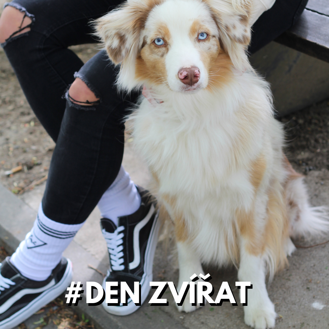 Den zvířat